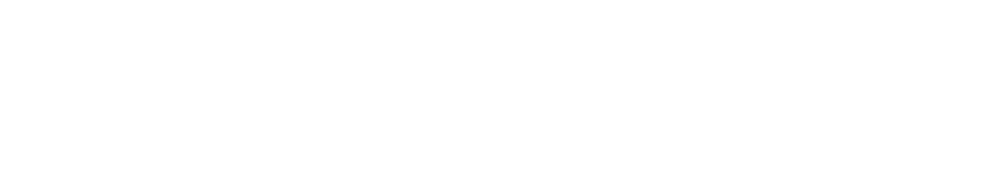 Demo Apotronik Apo